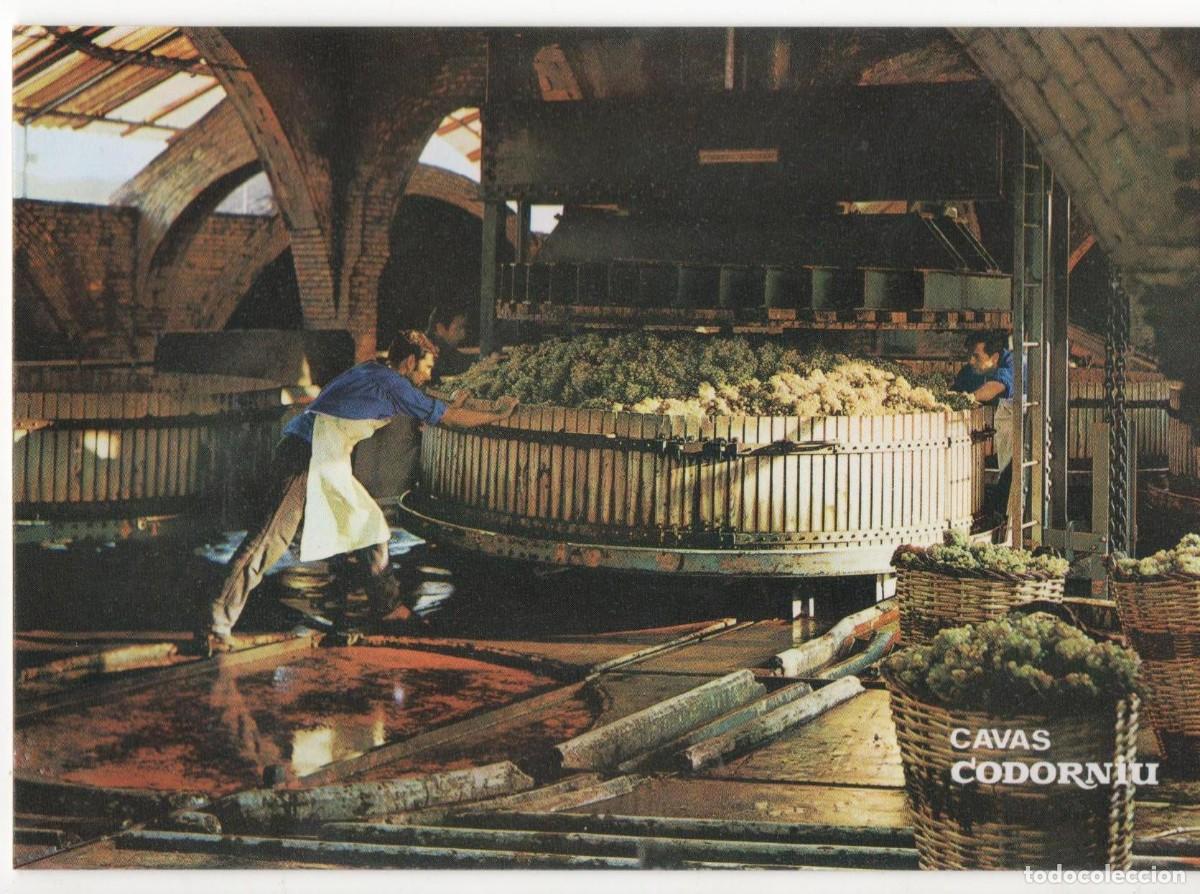Postales: Cavas Codorniu- Barcelona-sin circular- - Foto 1
