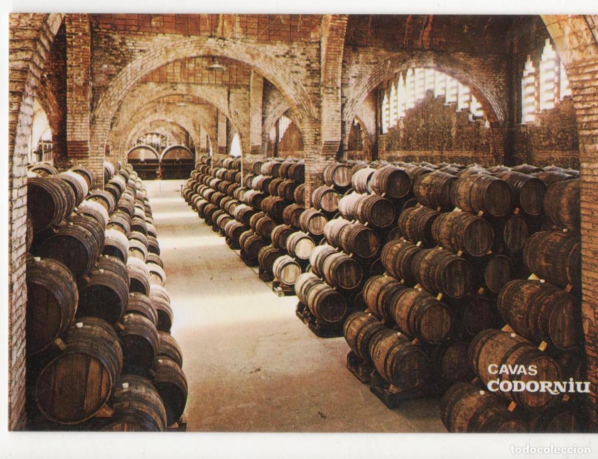 Postales: Cavas Codorniu- Barcelona-sin circular- - Foto 1