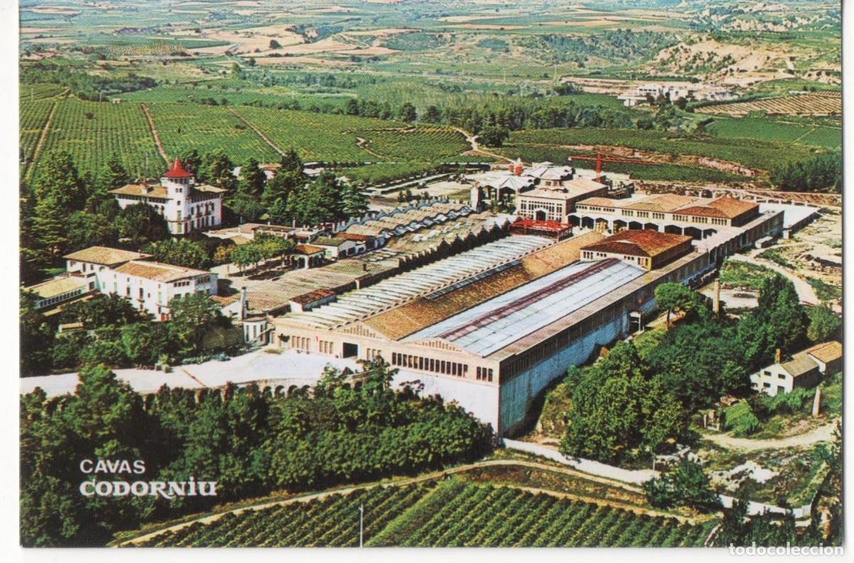 Postales: Cavas Codorniu- Barcelona-sin circular- - Foto 1