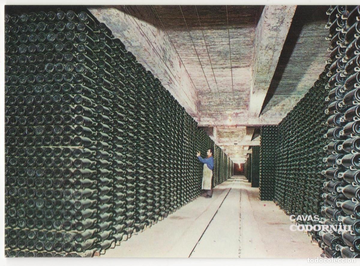 Postales: Cavas Codorniu- Barcelona-sin circular- - Foto 1
