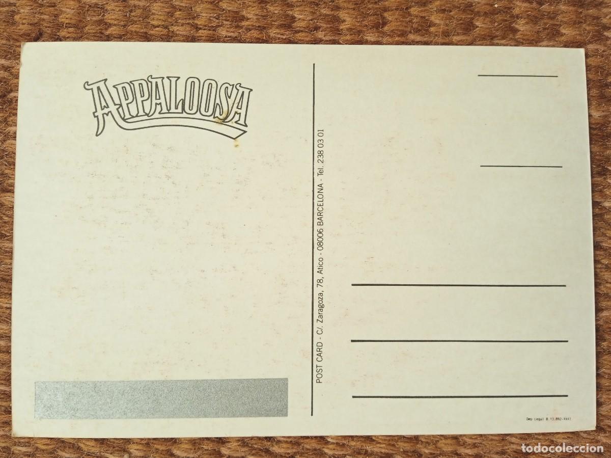 Postales: APPALOOSA JEANS - Foto 2