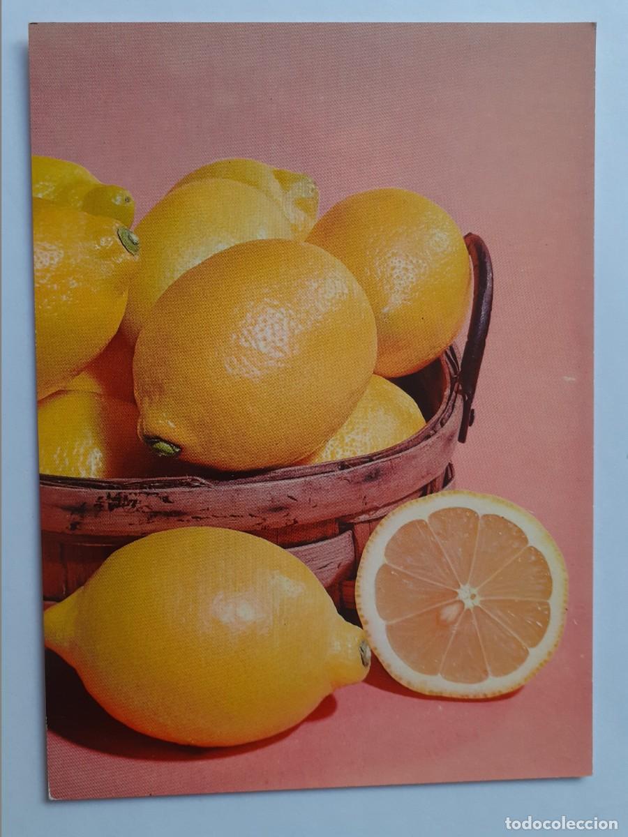 Postales: POSTAL - ESPA&Ntilde;A - LIMON - SPANIA - SPA 1966 - S/C - Foto 1