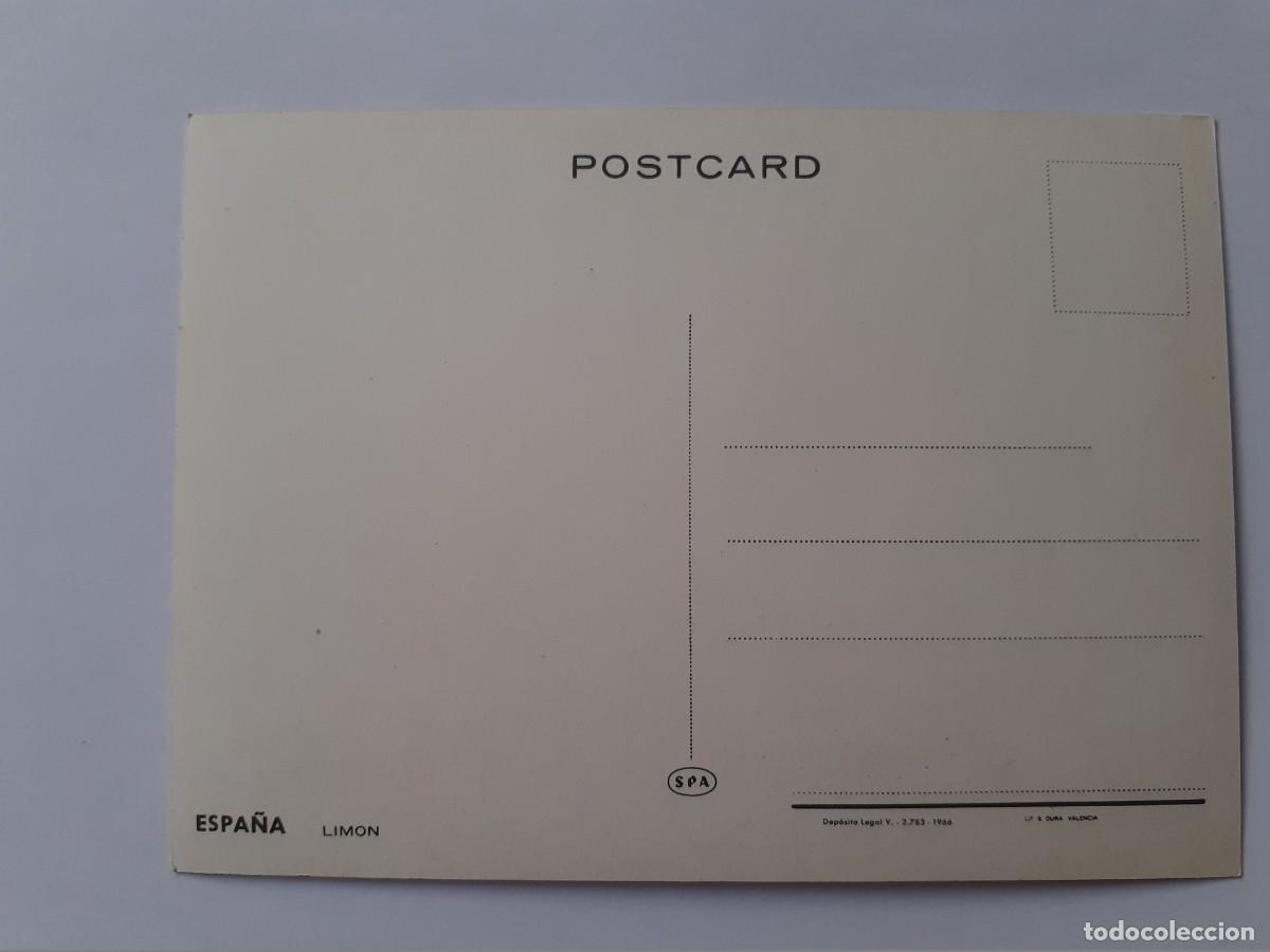 Postales: POSTAL - ESPA&Ntilde;A - LIMON - SPANIA - SPA 1966 - S/C - Foto 2