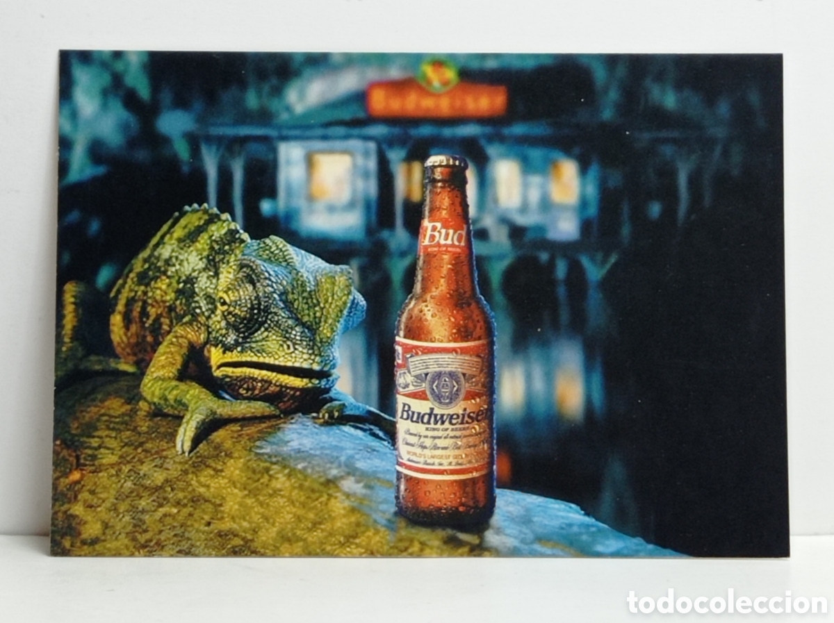 Postales: BUDWEISER, OPERACI&Oacute;N CAMALE&Oacute;N - Foto 1
