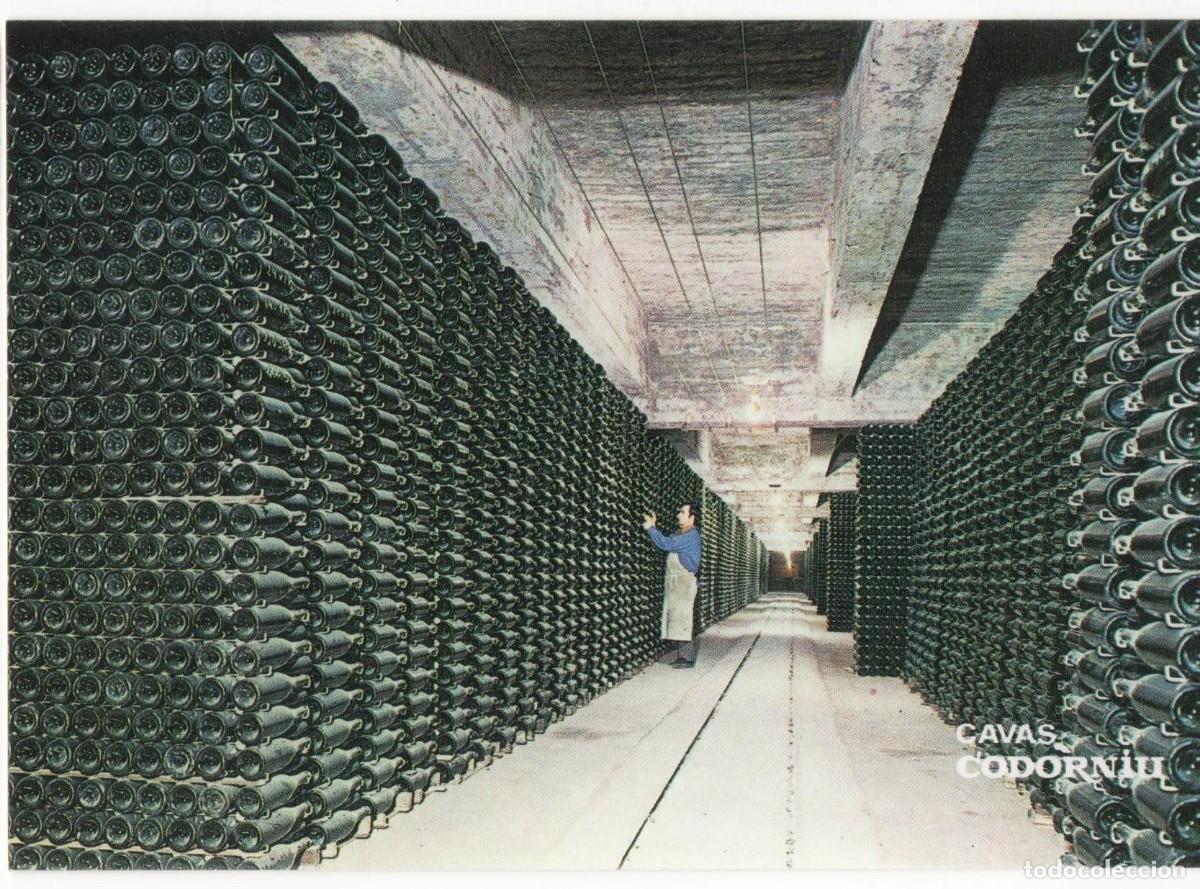Postales: Bodegas Codorni&uacute;-sin circular- - Foto 1