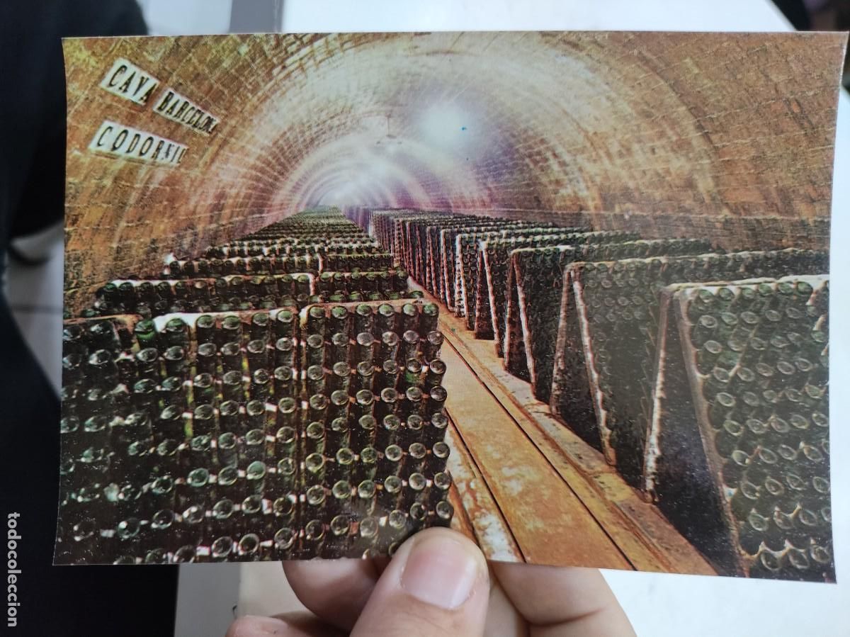Postales: Postal CAVAS CODORNIU Botellas en Pupitre SC 1985 - Foto 1