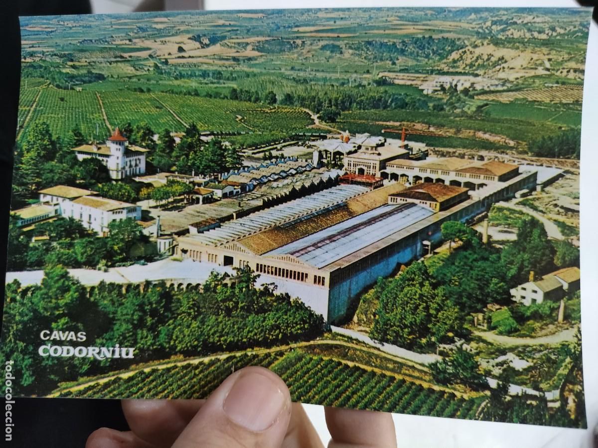 Postales: Postal CAVAS CODORNIU Exteriores SC 1985 - Foto 1