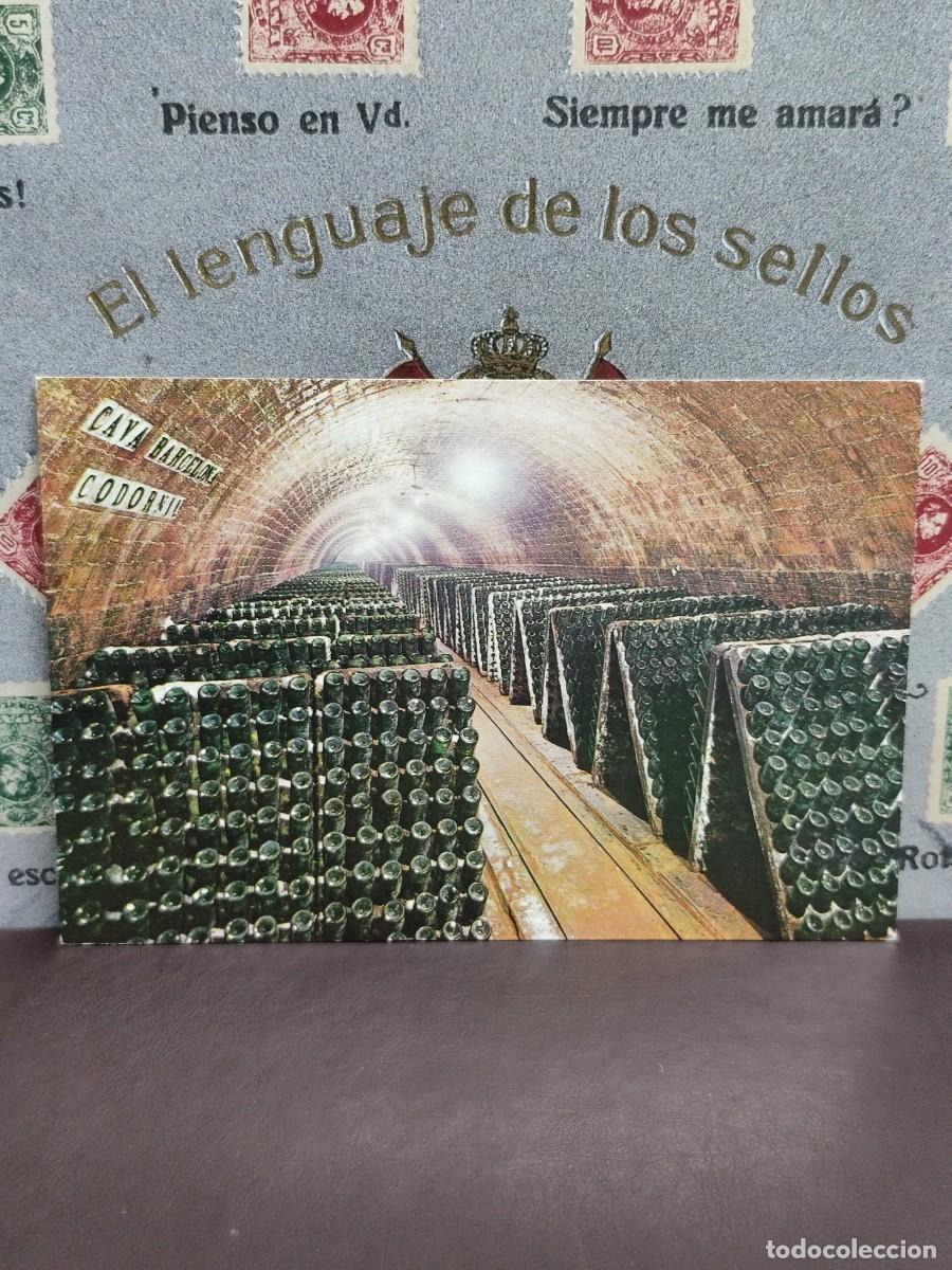 Postales: P3132 Postal Cavas Codorniu Botellas en pupitre - Foto 1