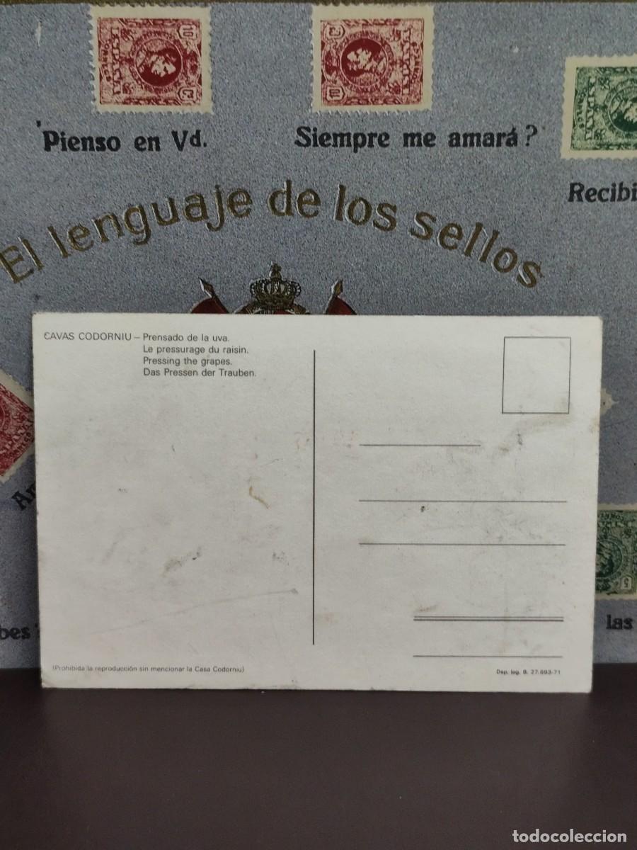 Postales: P3134 Postal Cavas Codorniu Prensando la uva - Foto 2