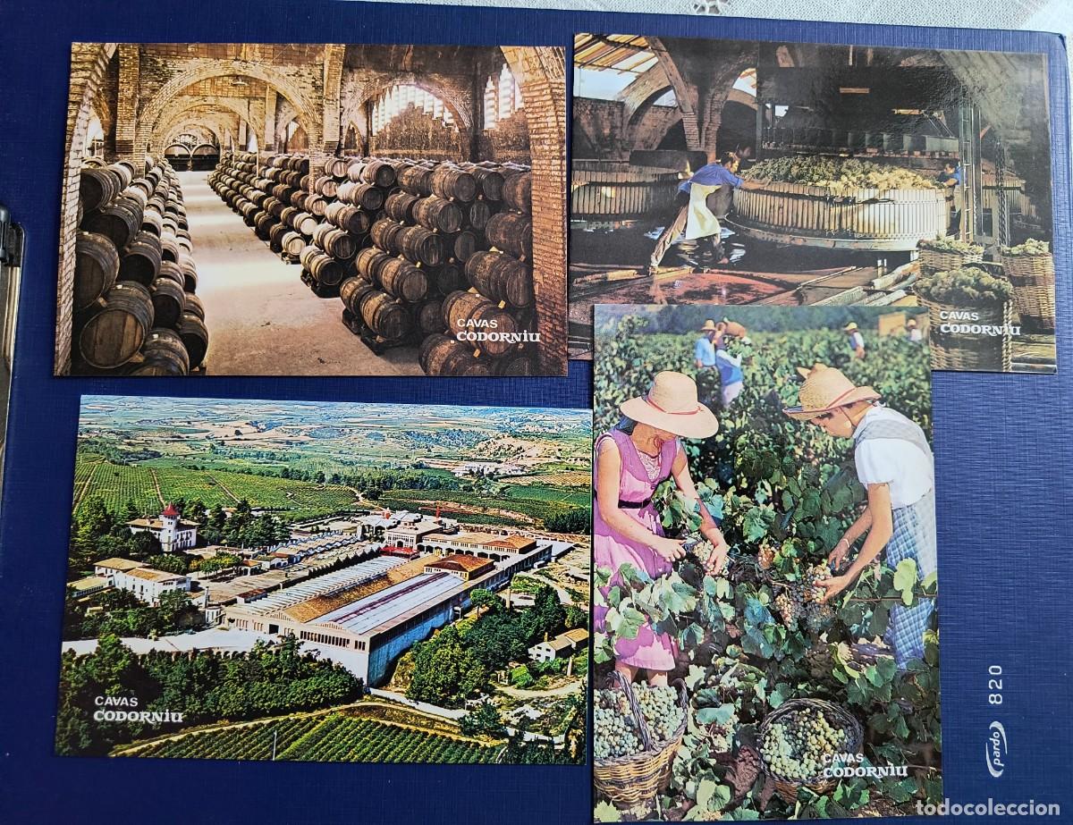 Postales: 7 POSTALES DE CAVAS CORODONIU EN ESTUCHE - SIN CIRCULAR - Foto 4