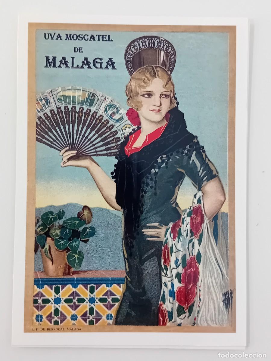 Postales: POSTAL UVA MOSCATEL DE M&Aacute;LAGA. - Foto 1