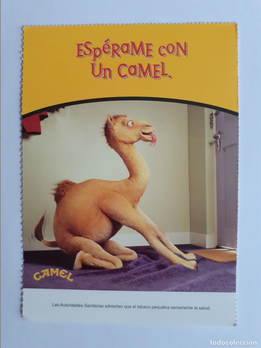 Postales: POSTAL PUBLICITARIA - CAMEL - ESPERAME CON UN CAMEL - Foto 1