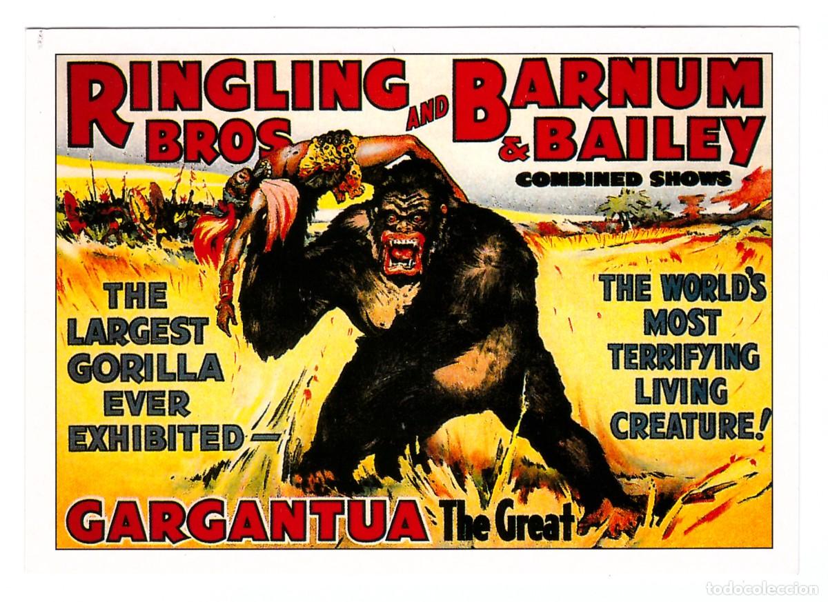 Postales: THE LARGEST GORILLA // ANTIQUE CIRCUS POSTER - Foto 1