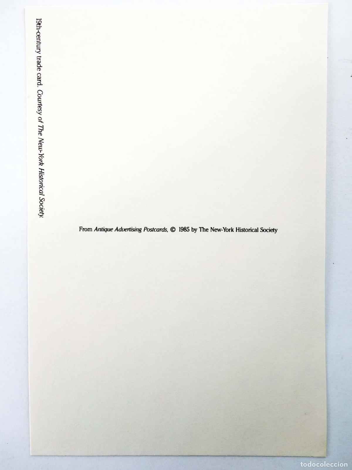Postales: POSTAL. A.M. LUNT LABEL PRINTER. Dover, Circa 1985. SIN CIRCULAR - Foto 2