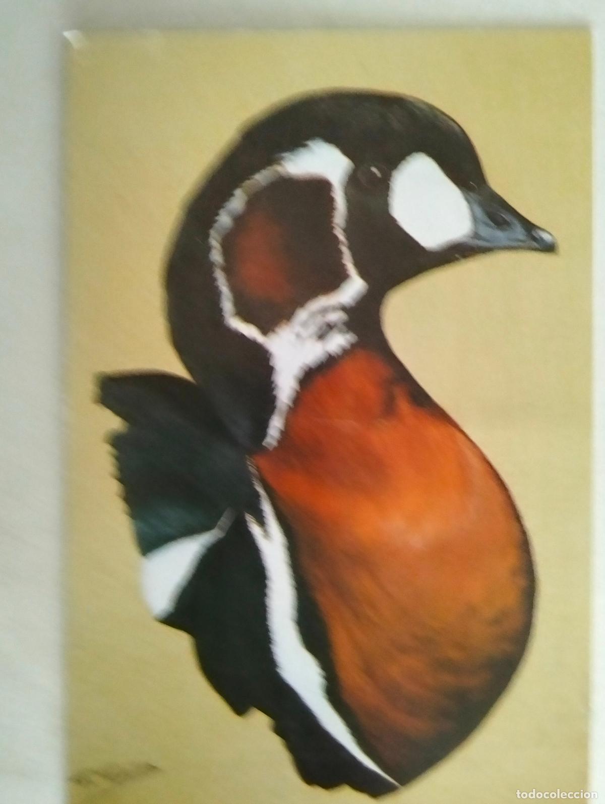 Postales: POSTAL PUBLICIDAD, ROSER, A&Ntilde;OS 90 - Foto 1