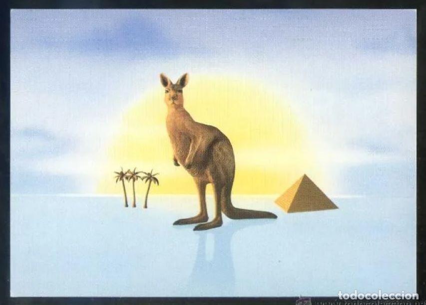 Postales: Tabaco. *Camel - Camel Lights so smooth you won&acute;t ...* Nueva. - Foto 1
