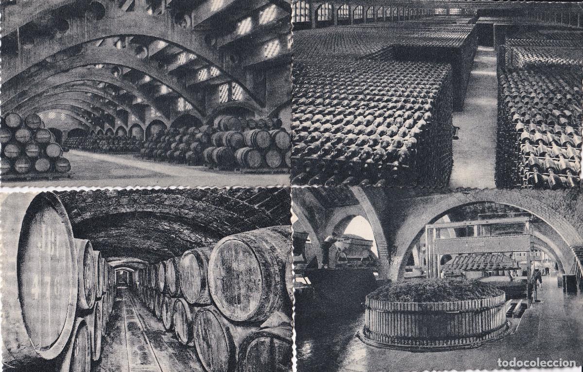 Postales: LOTE POSTALES CAVAS CODORNIU - Foto 1