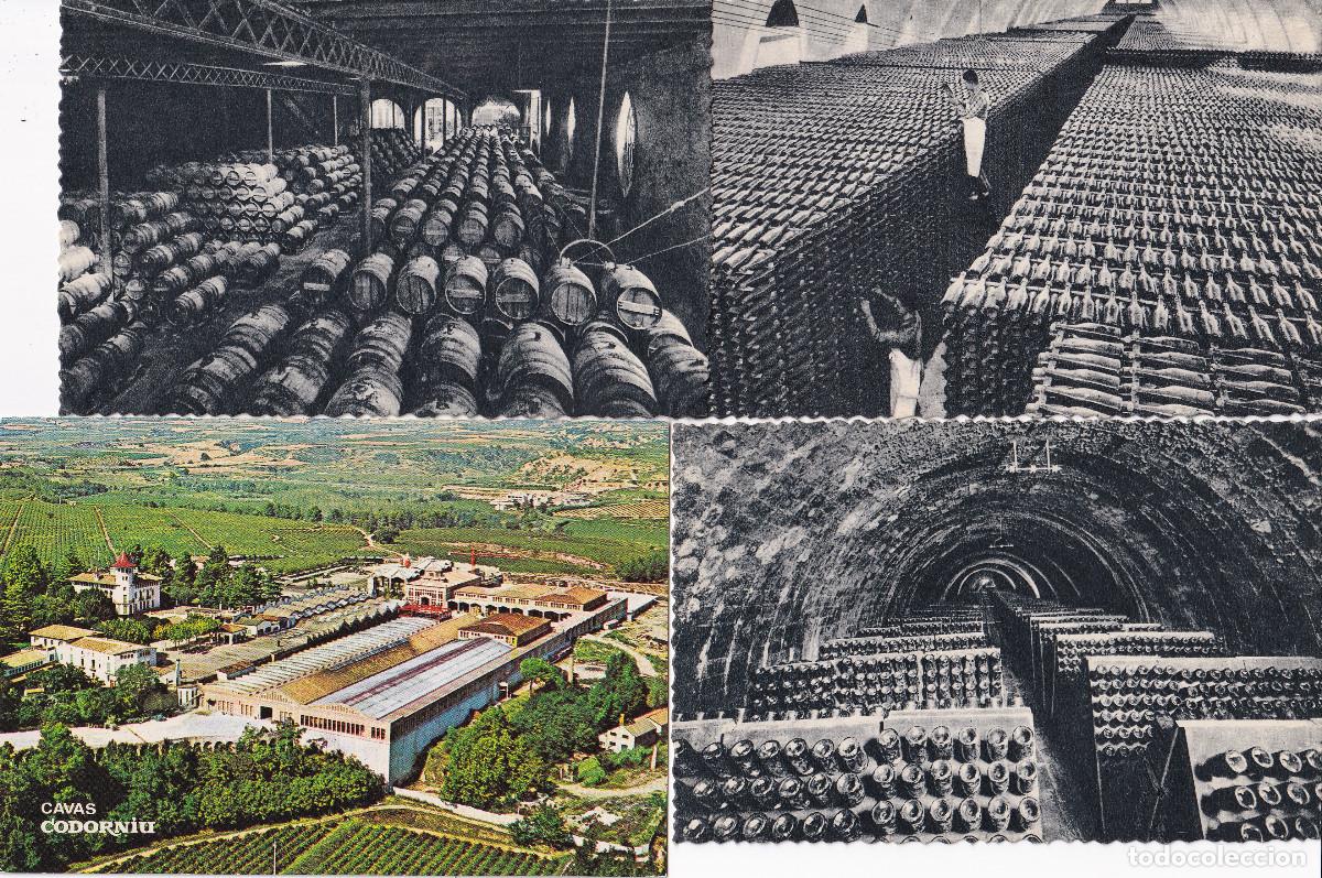 Postales: LOTE POSTALES CAVAS CODORNIU - Foto 2