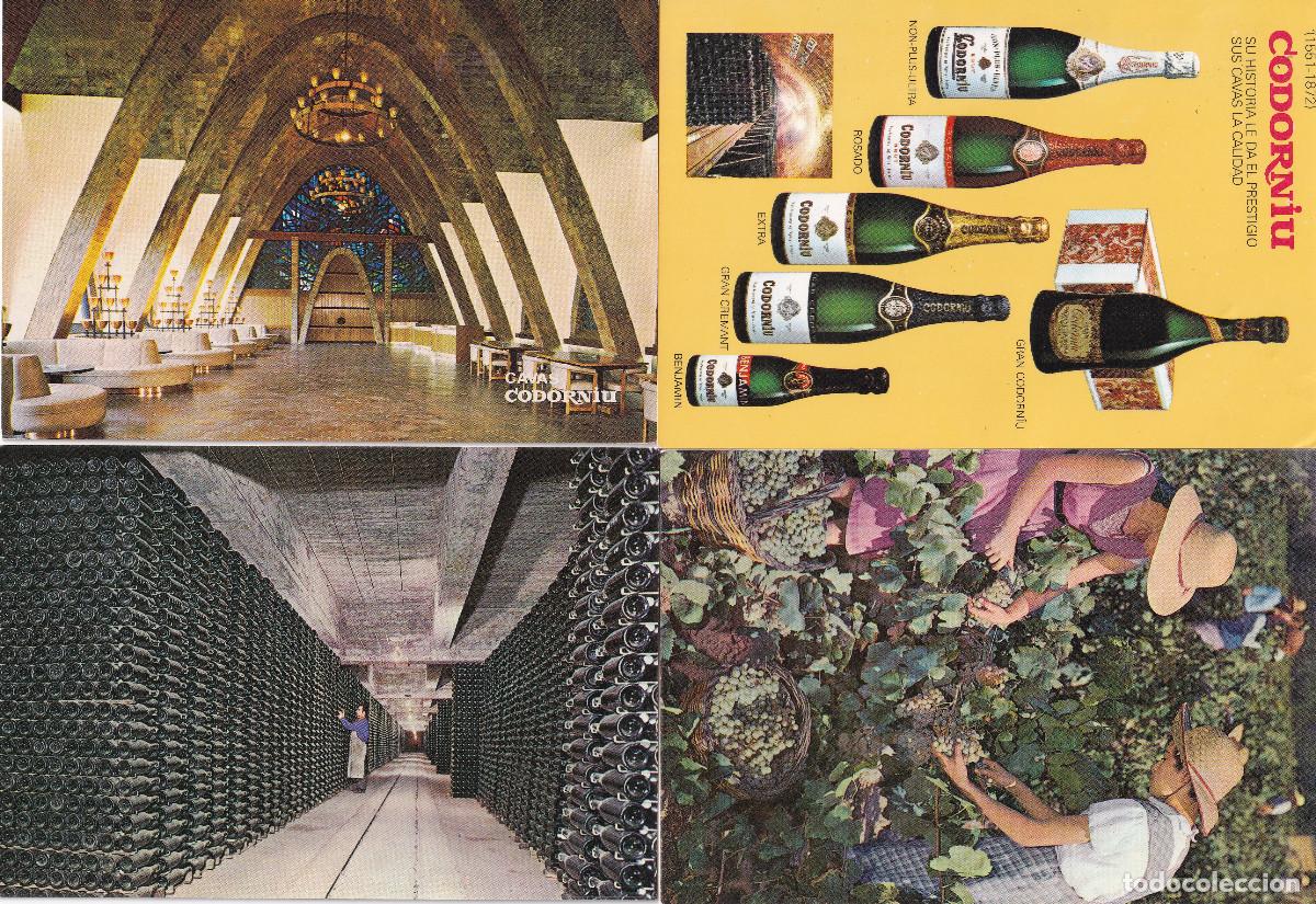 Postales: LOTE POSTALES CAVAS CODORNIU - Foto 4
