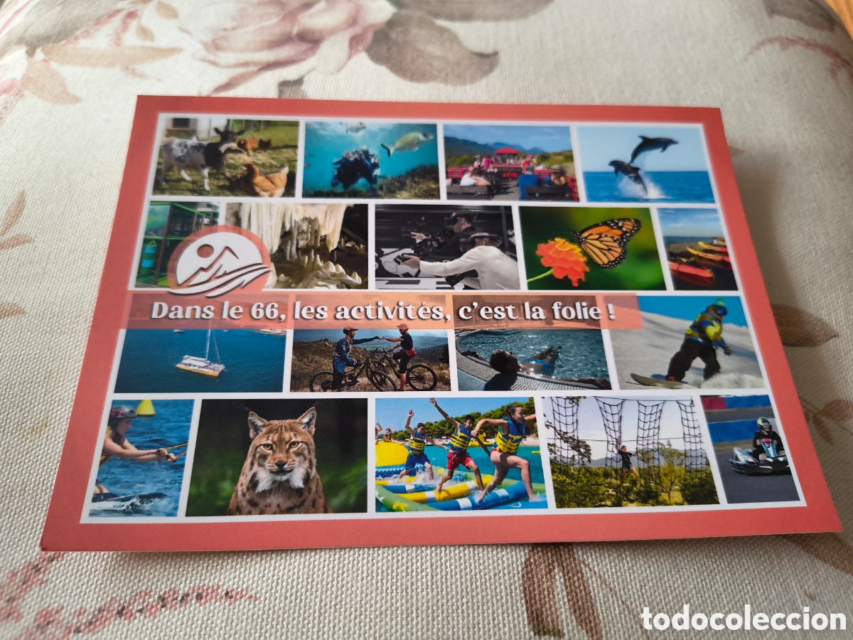 Postales: DANS LE 66 LES ACTIVITES C&acute;EST LA FOLIE! SIN CIRCULAR - Foto 1