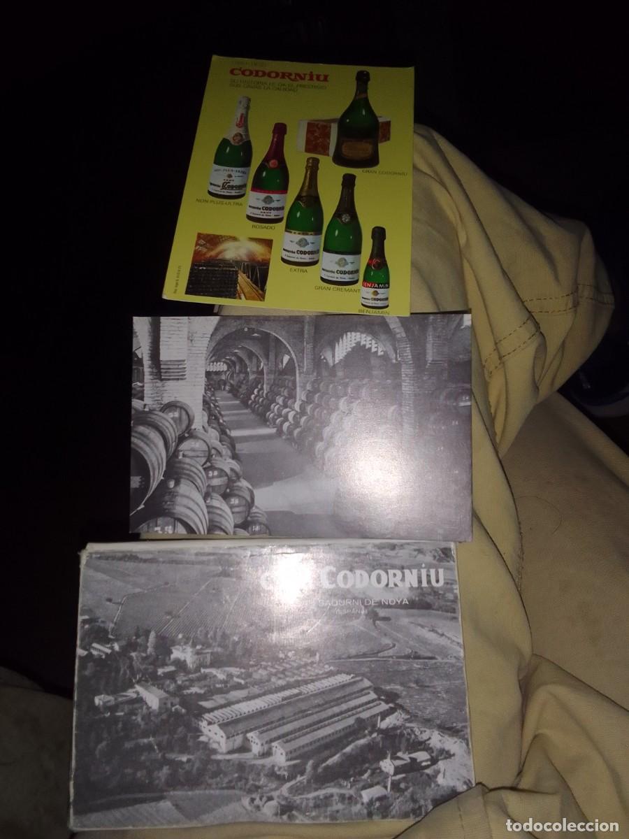 Postales: CASA CODORNIU. ALBUM DE 10 POSTALES - Foto 1
