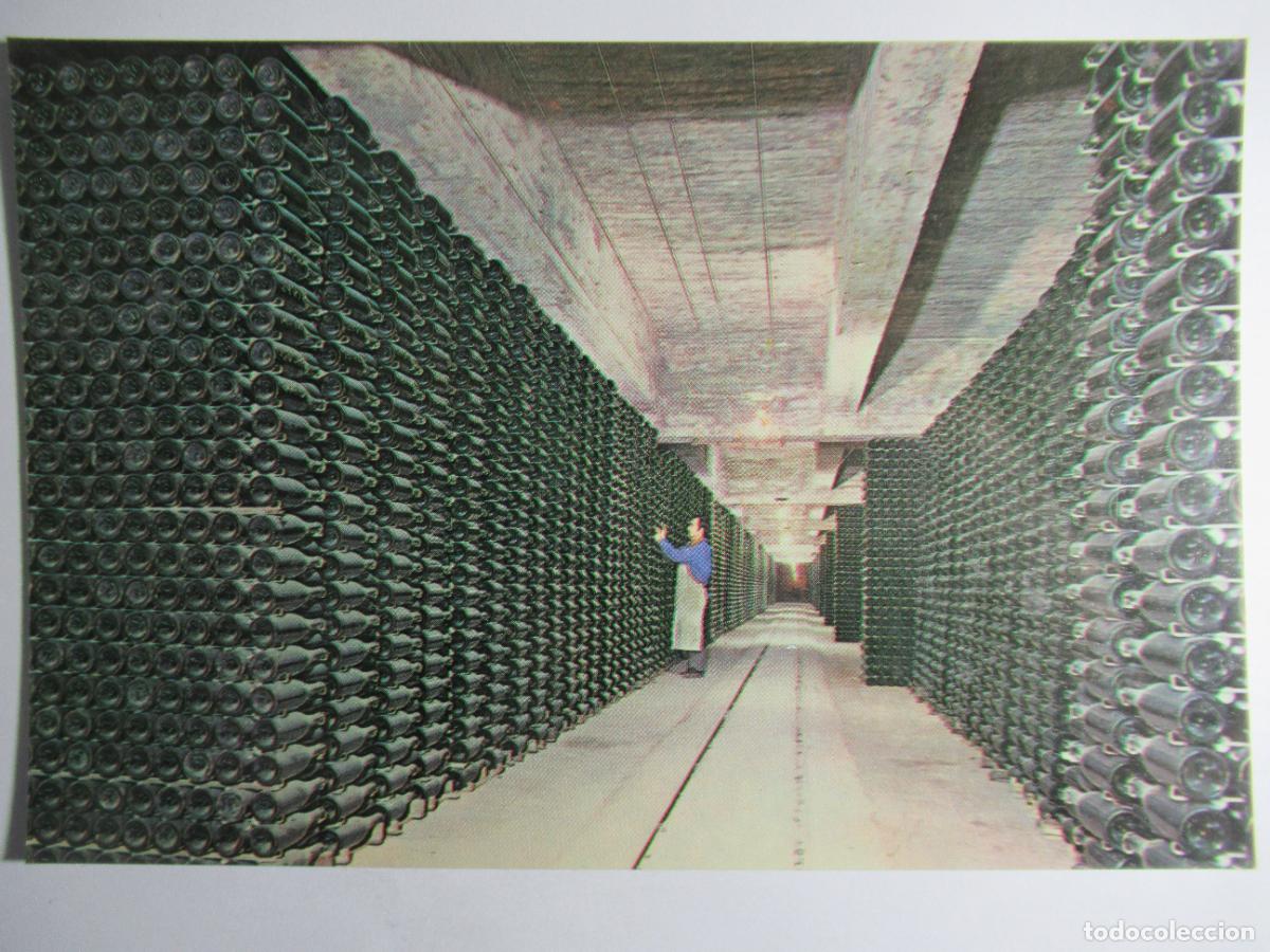 Postales: Cavas Codorniu - Botellas envejeciendo - Foto 1