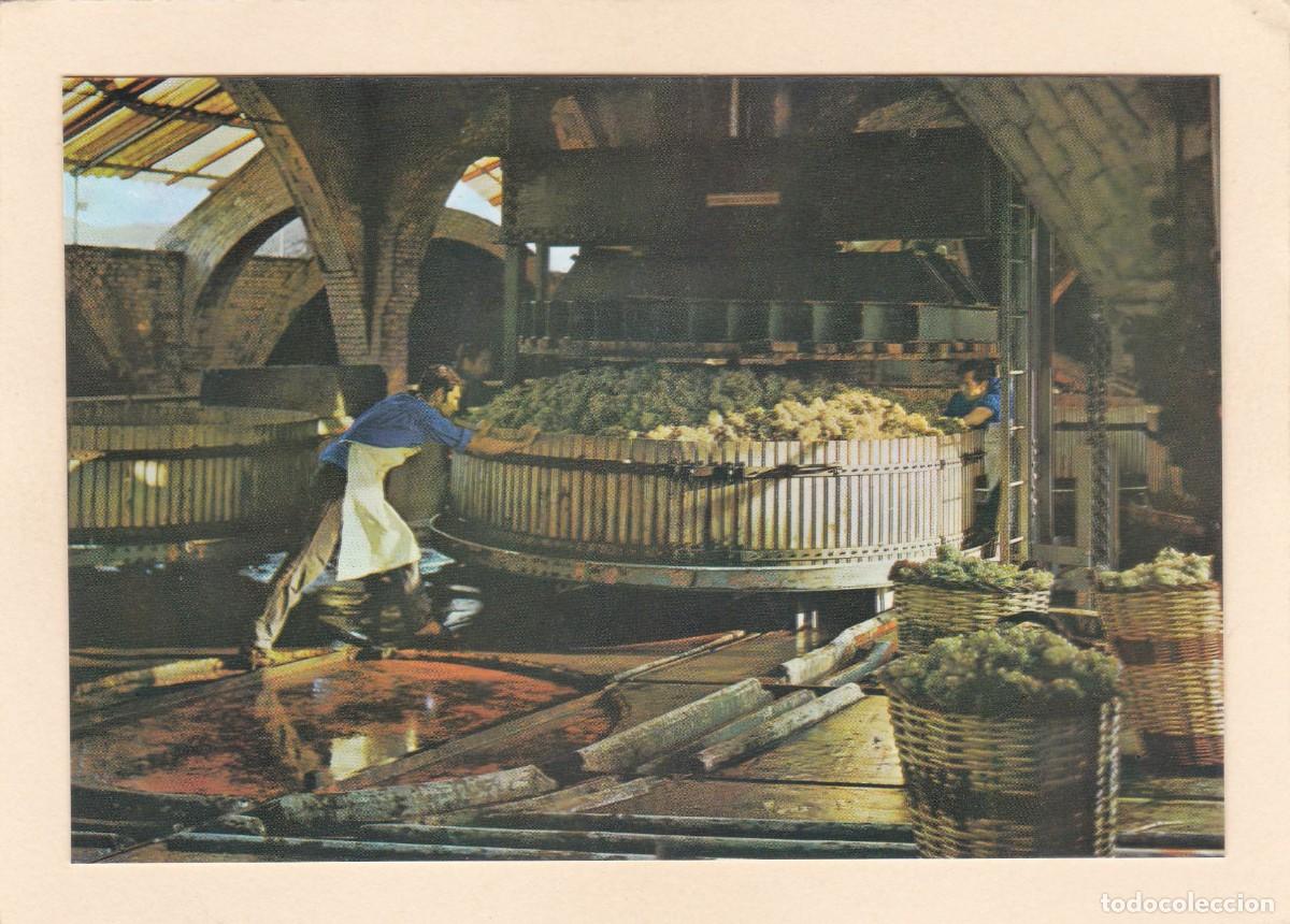 Postales: CAVAS CODORNIU. PRENSADO DE LA UVA (1976) - Foto 1