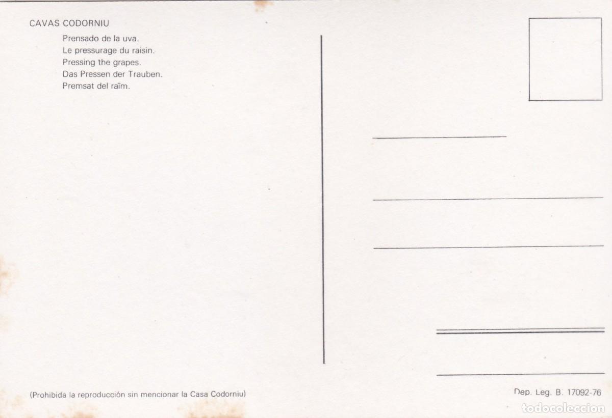 Postales: CAVAS CODORNIU. PRENSADO DE LA UVA (1976) - Foto 2