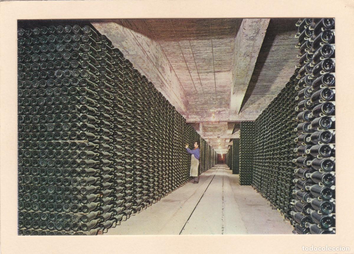 Postales: CAVAS CODORNIU. BOTELLAS ENVEJECIENDO (1976) - Foto 1