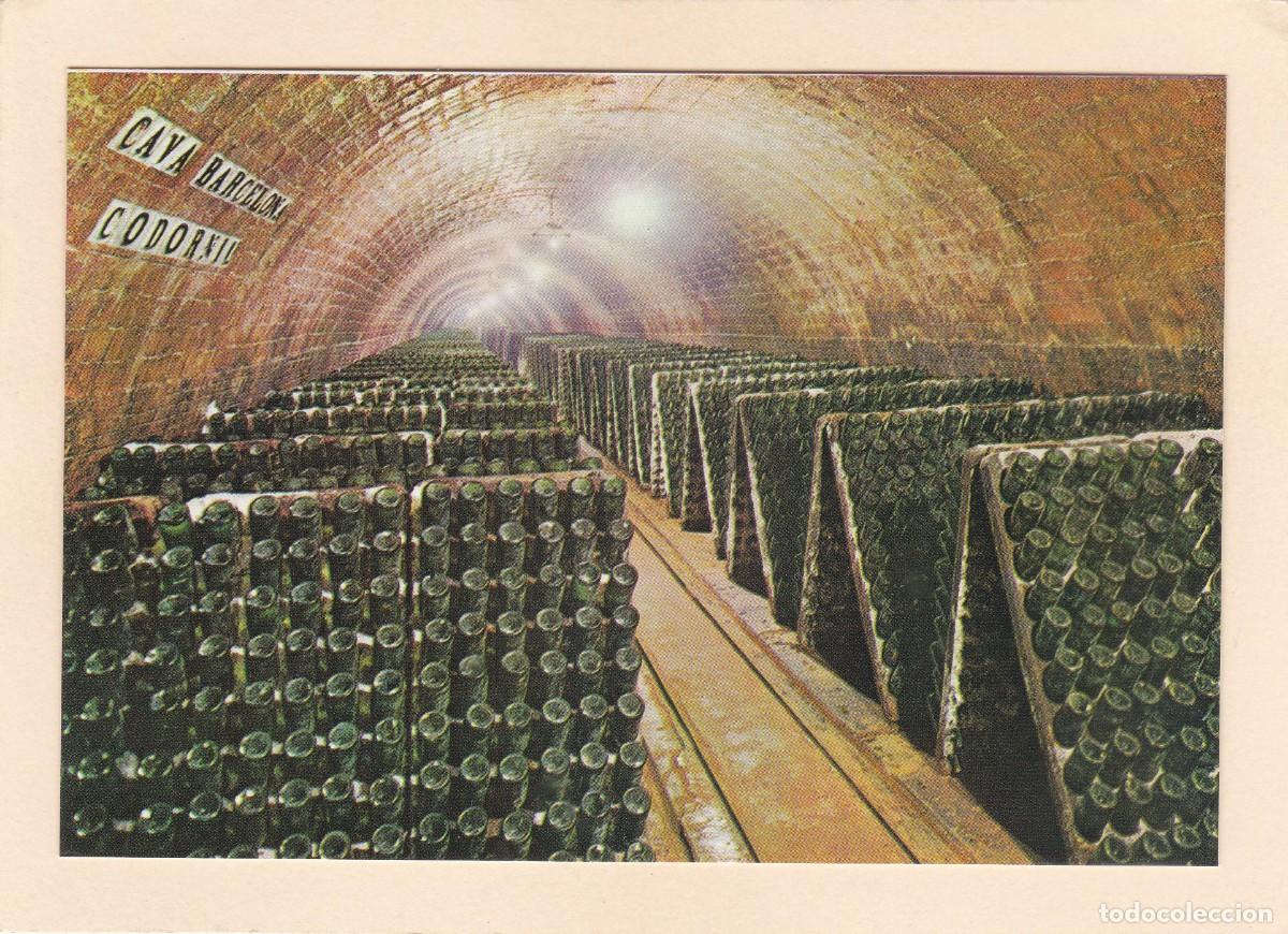Postales: CAVAS CODORNIU. BOTELLAS EN PUPITRE (1976) - Foto 1