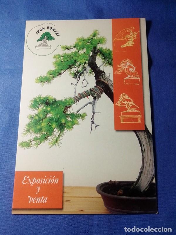Postales: Postal tarjeta Irun Bonsai - Foto 1