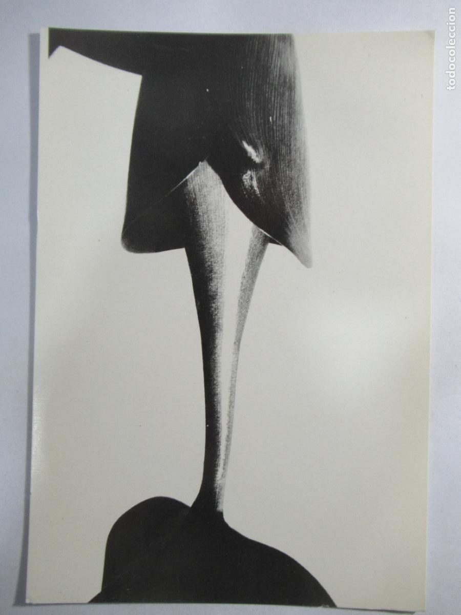 Postales: Imogen Cunningham - Fronteres - Exposici&oacute;n fotograf&iacute;as - Barcelona