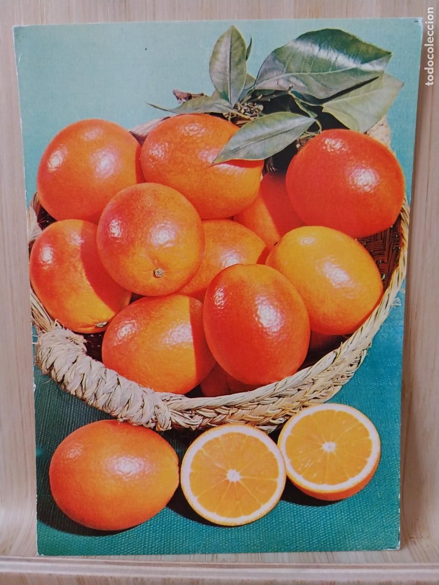 Postales: SANGUINAS ED SPA A&Ntilde;O 1966 BODEGON NARANJAS SC ORIGINAL - Foto 1