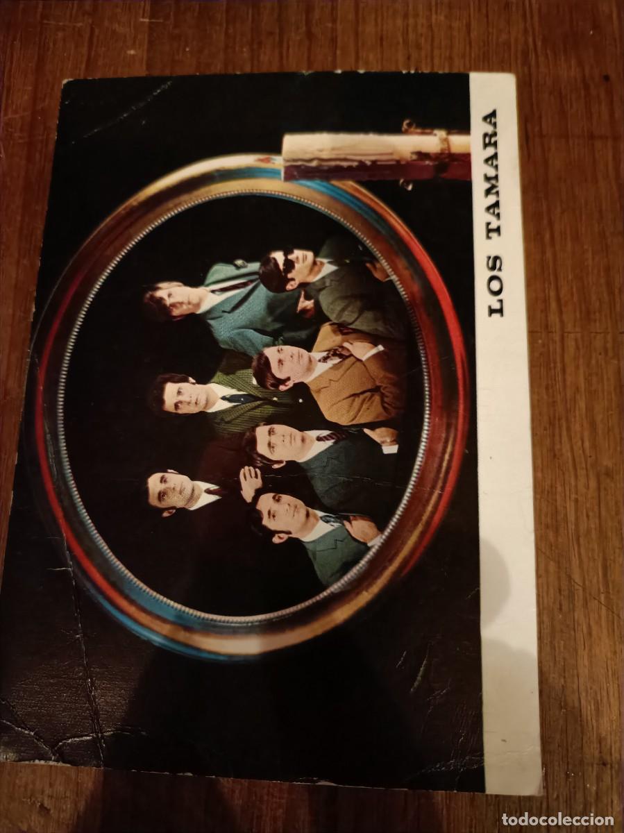 Postales: LOS TAMARA. FOTOGRAF&Iacute;A PROMOCIONAL DISCOS ZAFIRO. DISCOGRAF&Iacute;A AL DORSO