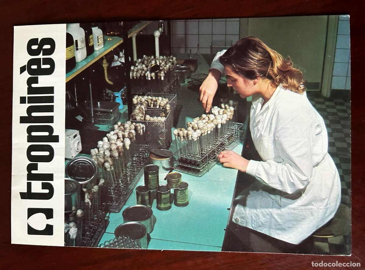 Postales: LUCHA CONTRA LA CONTAMINACI&Oacute;N - AN&Aacute;LISIS EN F&Aacute;BRICA DE CONSERVAS DE ALEMANIA - TROPHIR&Egrave;S 1976