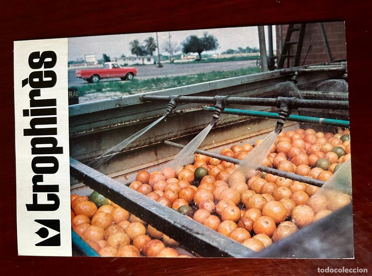 Postales: LUCHA CONTRA LA CONTAMINACI&Oacute;N - M&Aacute;QUINA PARA LAVAR FRUTA EN TEXAS - TROPHIR&Egrave;S 1976