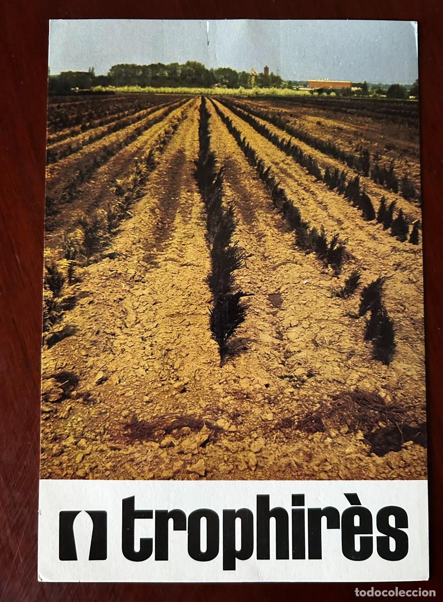 Postales: LUCHA CONTRA LA CONTAMINACI&Oacute;N - VIVERO DE CON&Iacute;FERAS PARA REPOBLACI&Oacute;N EN ALEMANIA - TROPHIR&Egrave;S 1976