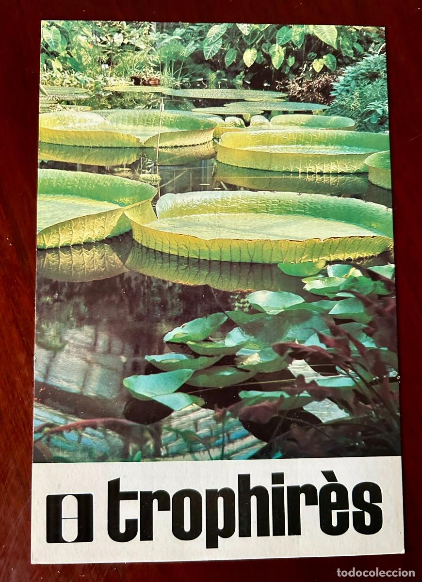 Postales: LUCHA CONTRA LA CONTAMINACI&Oacute;N - NEN&Uacute;FARES GIGANTES - VEGETACI&Oacute;N PULM&Oacute;N DEL MUNDO - TROPHIR&Egrave;S 1976
