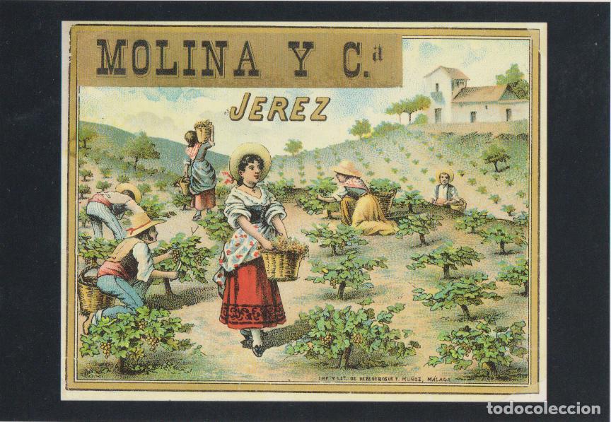 Postales: POSTAL PUBLICITARIA ETIQUETA JEREZ 1884 &ndash; SERIE FRUTAS N&ordm;1 &ndash; S/C