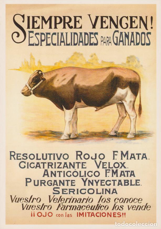 Postales: POSTAL PUBLICITARIA CARTELES ESPECIALIDADES PARA GANADO &ndash; EDICIONES AM N&ordm;2914 &ndash; S/C