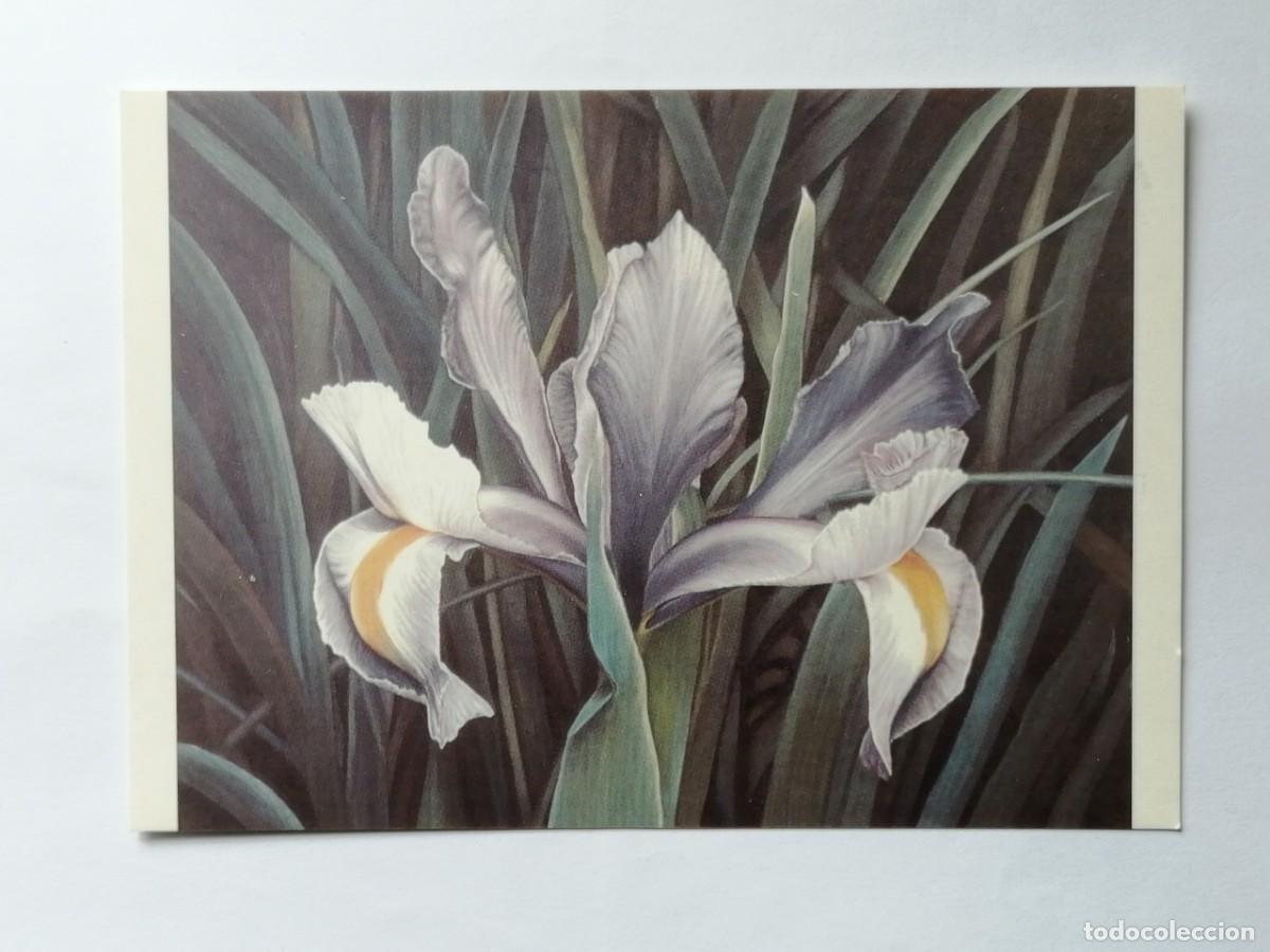 Postales: POSTAL 18429 NUEVA-POSTALFREE CUENCA EXPOSICION ALUMNOS EMILIO MORALES -PINTURA ARTE FLOR