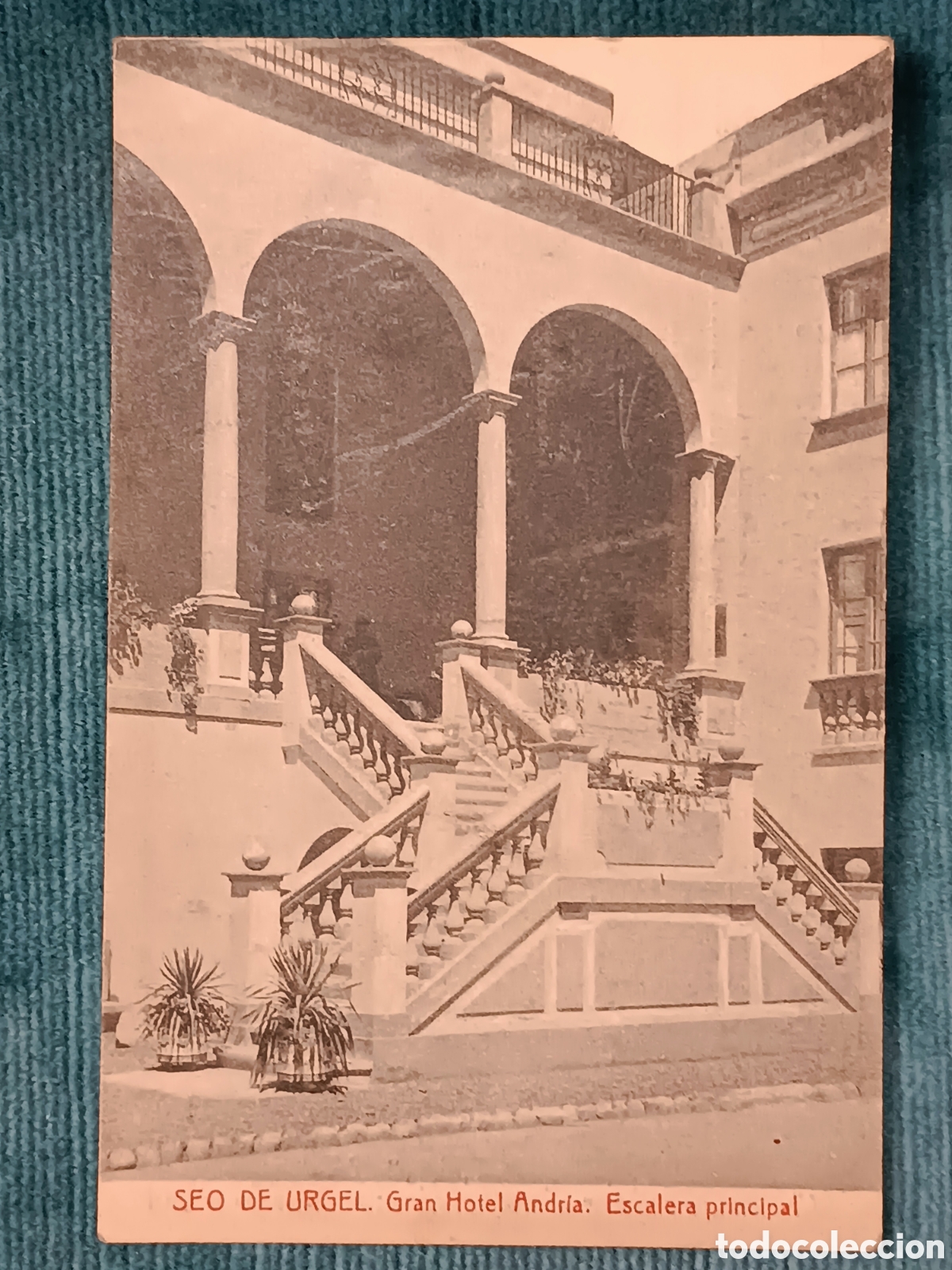 Postales: SEO DE URGEL. La Seu d'Urgell