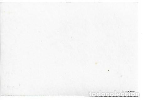 Postales: SURTIDO DE CAVAS CODORNIU - Foto 2