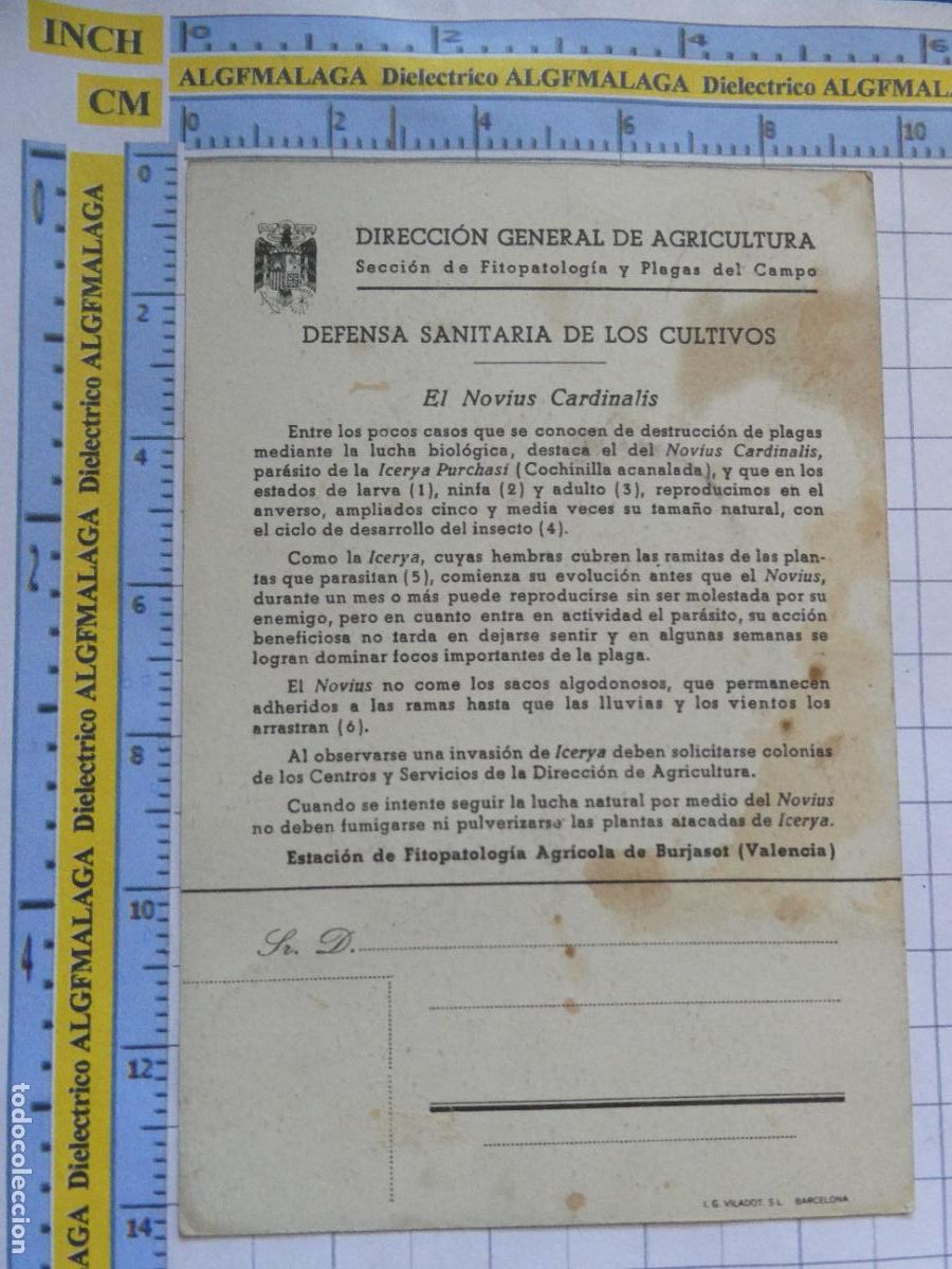 Postales: POSTAL PUBLICITARIA. PUBLICIDAD DEFENSA SANITARIA CULTIVOS DIRECCI&Oacute;N GENERAL AGRICULTURA PLAGAS 1663