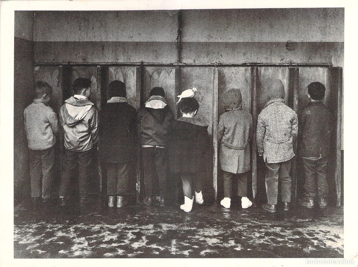 Postales: Postal Robert Doisneau Pipi Pigeon Fotograf&iacute;a Art&iacute;stica