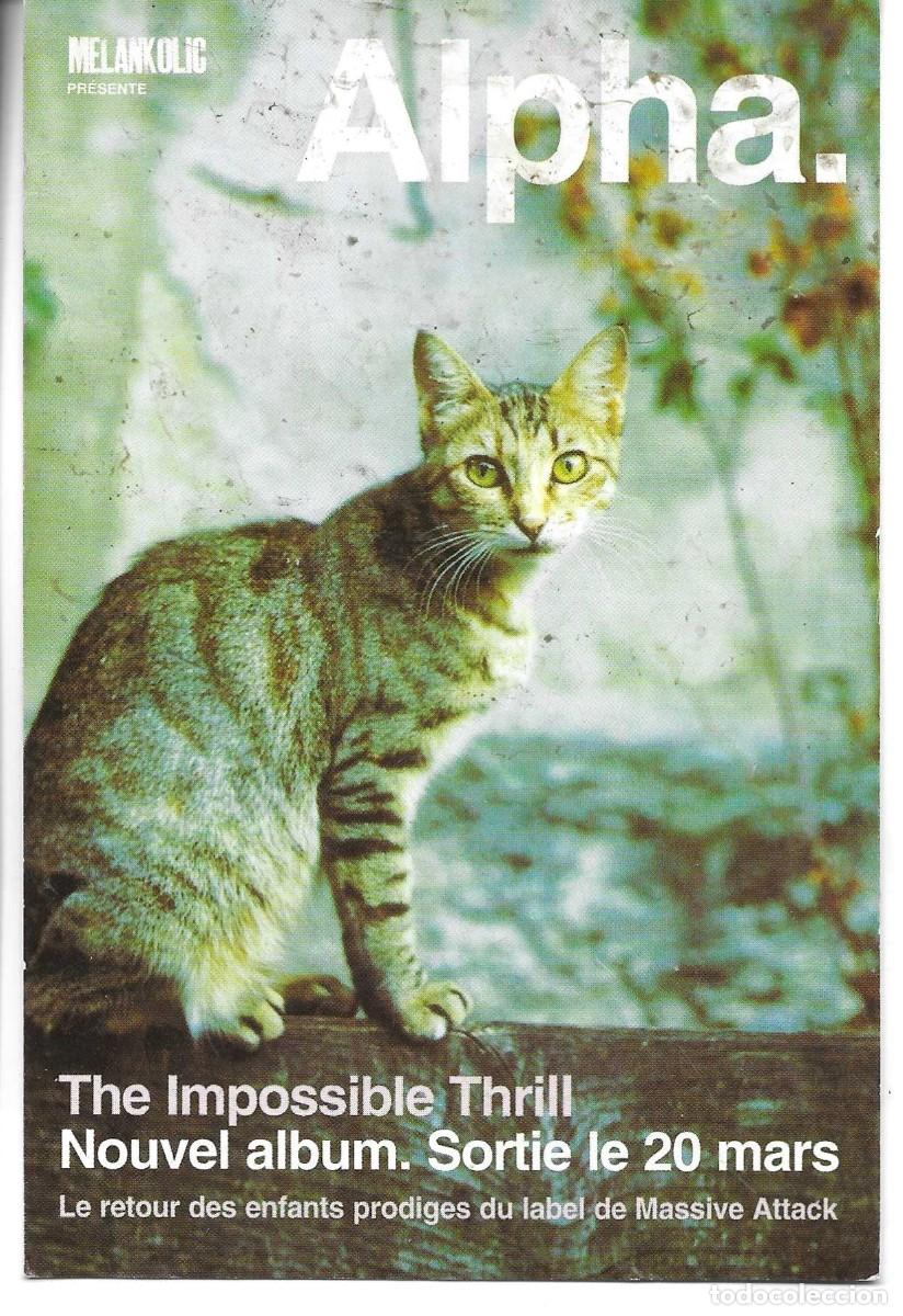 Postales: Gato Alpha.Moderna postal publicitaria Francesa. 10 x 15 cms.