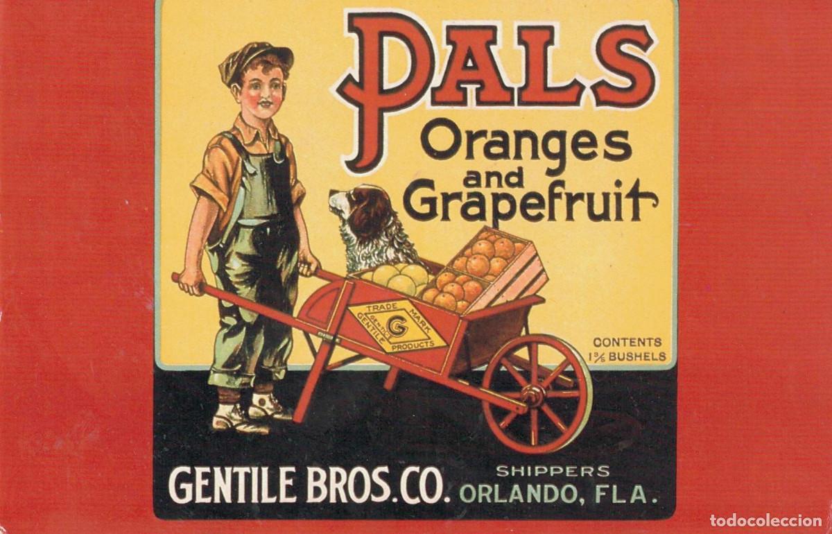 Cartes Postales: TARJETA POSTAL - PALS - ORANGES AND GRAPEFRUIT - GENTILE BROS - FRESH EXPRESSIONS 827 - SIN CIRCULAR