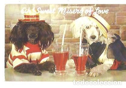 Postales: POST CARD AH SWEET MISERY OF LOVE