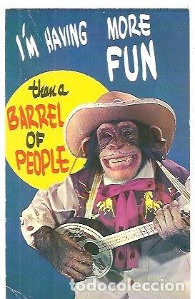 Postales: POST CARD I'M HAWING MORE FUN THAN A BARREL OF PEOPLE