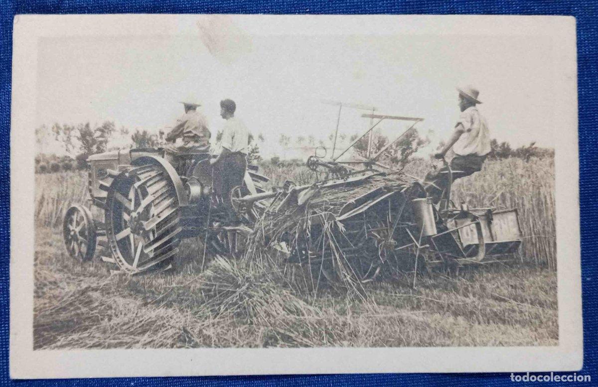Postales: POSTAL TRACTOR AGR&Iacute;COLA FIAT. TRATTICE AGRICOLA FIAT. TIPO 702. MIETITURA.